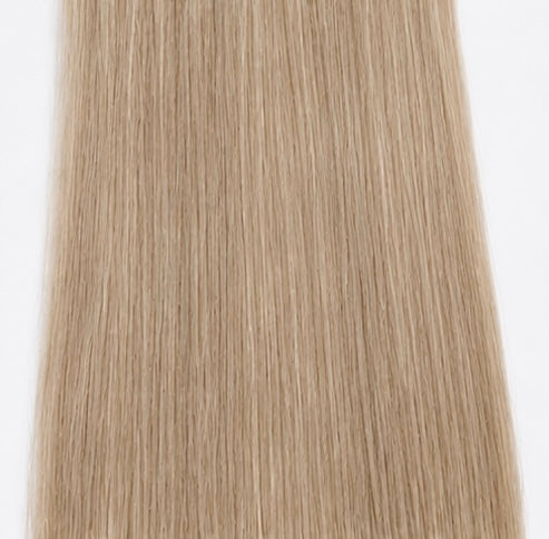 #16A