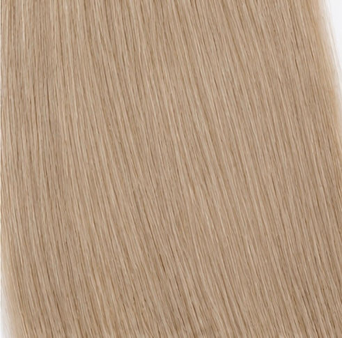 #16A